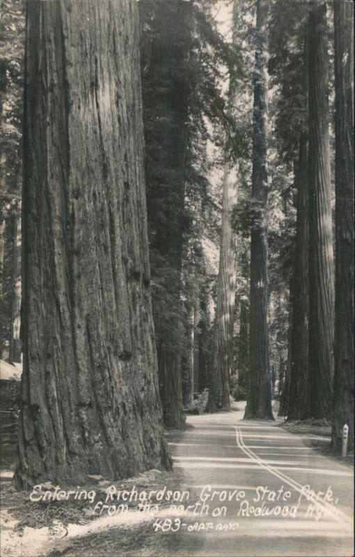 Entering Richardson Grove State Park, Redwood Hwy California