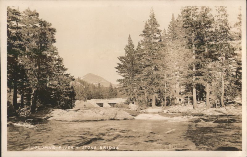 Tuolumne River & Stone Bridge California