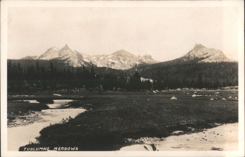 Tuolumne Meadows Mountain Landscape California