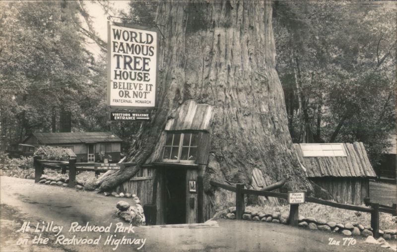 World Famous Tree House, Lilley Redwood Park California