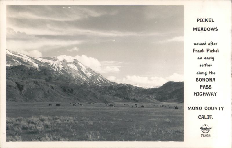 Pickel Meadows, Sonora Pass Highway, Mono County California
