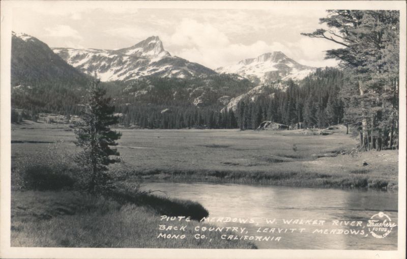 Piute Meadows, W. Walker River, Leavitt Meadows, CA California