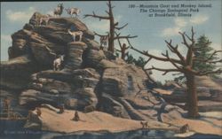 Mountain Goat & Monkey Island, Chicago Zoological Park Postcard