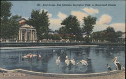 Bird House, Chicago Zoological Park, Brookfield Postcard