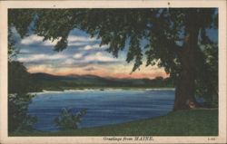 Maine Scenic View - Lake, Mountains & Large Tree Postcard