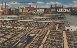 Union Stock Yards, Chicago w/ Armour & Swift Signs Postcard