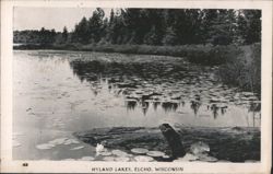 Hyland Lakes Lily Pads & Trees Reflection, Elcho Postcard