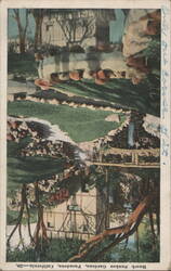 Busch Sunken Gardens - A Corner View, Pasadena, CA Postcard