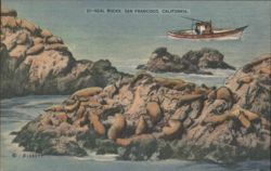 Seal Rocks & Sea Lions with Boat Postcard