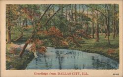 Wooded Stream Landscape, Dallas City, IL Postcard
