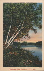 Dallas City, IL - Lake View with Birch Trees & Sunset Postcard