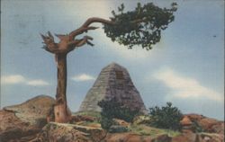 Ames Monument & Unique Tree, Sherman Hill, WY Postcard