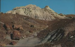 Blue Mesa, Petrified Forest National Park Postcard