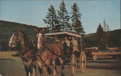 Surrey Ride at Flagg Ranch, Grand Teton National Park Postcard