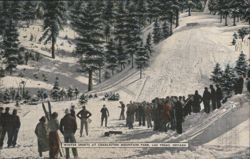 Winter Sports at Charleston Mountain Park Postcard