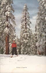 Winter in Yosemite Postcard