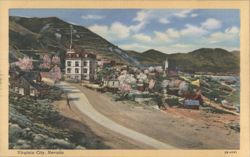 Virginia City Nevada Town View with Blossoming Trees Postcard