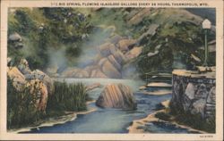 The Big Spring, Flowing 18,600,000 Gallons, Thermopolis, WY Postcard