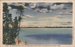 Yellowstone Lake and Absaroka Mountains Postcard