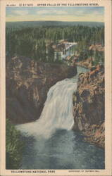Upper Falls of the Yellowstone River, Yellowstone NP Postcard