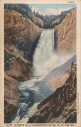 Lower Fall, Yellowstone Canyon, 308 ft. Height Postcard