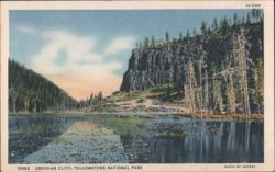 Obsidian Cliff, Yellowstone National Park Postcard
