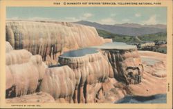 Mammoth Hot Springs Terraces, Yellowstone National Park Postcard