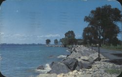 Tibbetts Point Lighthouse Road Cape Vincent NY 1954 Postcard Postcard