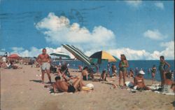 Rocky Neck State Park Beach Scene Postcard