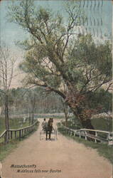 Middlesex Fells near Boston, Horse and Cart on Road Postcard