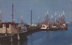 Fishing Boats at Pier, New Bedford Postcard