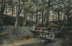 Newton, Mass. Rustic Bridge Postcard