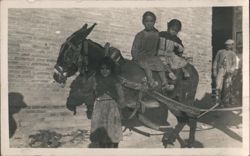 Children on Donkey, Spain Postcard