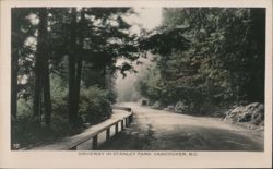 Driveway in Stanley Park, Vancouver, BC Postcard