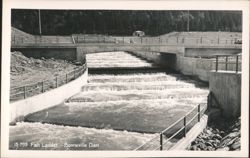 Fish Ladder - Bonneville Dam Postcard