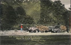 Ox Carts on Road to Villa de Santiago Postcard