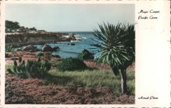 Magic Carpet, Pacific Grove Postcard