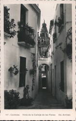 Vista de la Calleja de las Flores, Córdoba Postcard