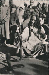 Snake Charmer with Cobras, Marrakech Postcard