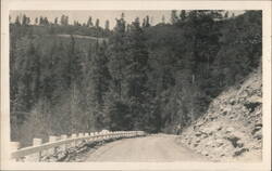 Mountain Road with Guardrail Overlooking Dense Forest Postcard