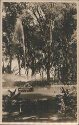 Paseo Hidalgo, Fuente Monumental Postcard