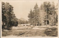 Tuolumne River & Stone Bridge Postcard