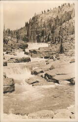 Cascades Tuolumne River Postcard