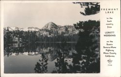 Fremont Lake, Leavitt Meadows, Sonora-Mono Highway Postcard