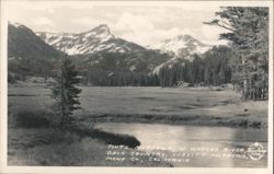Piute Meadows, W. Walker River, Leavitt Meadows, CA Postcard