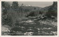 River Rapids with Mt. Shasta in Background Postcard