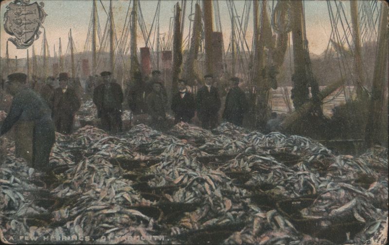 A Few Herrings, Gt. Yarmouth Fish Market Great Yarmouth United Kingdom