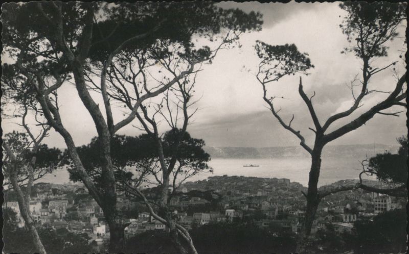 Marseille Panoramic View with Trees and Bay France