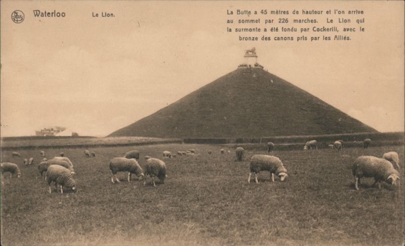 Waterloo Le Lion. Lion's Mound, Sheep Grazing Belgium
