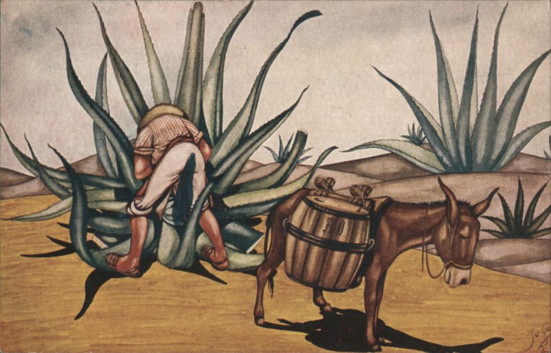 Tlachiquero Extracting Pulque Juice, Donkey with Barrel Mexico City
